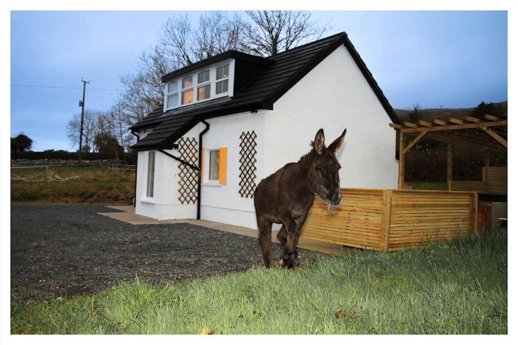 Killeavy Cottage Meigh Екстер'єр фото