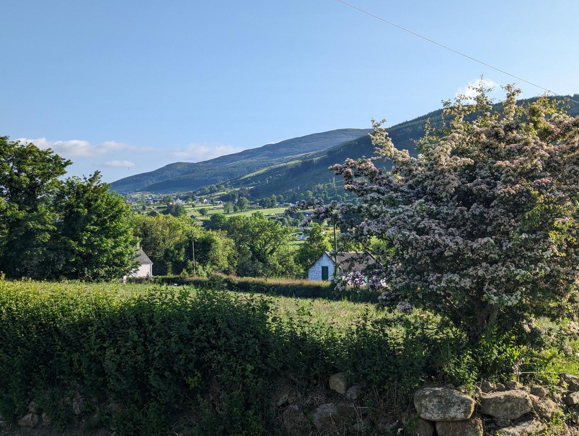 Killeavy Cottage Meigh Екстер'єр фото
