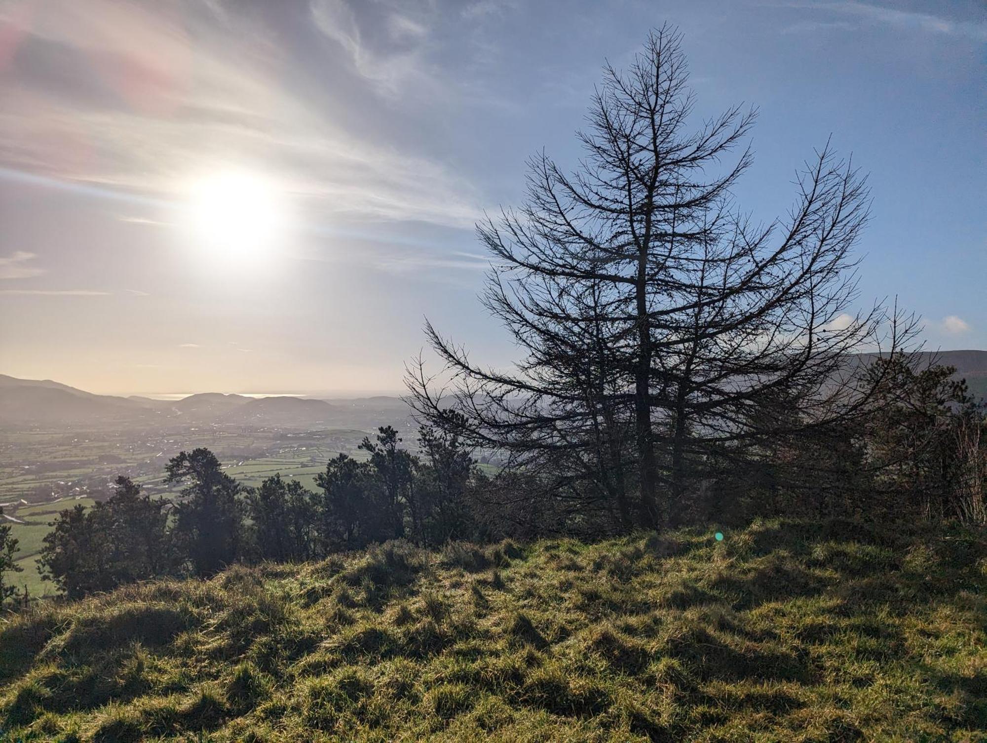 Killeavy Cottage Meigh Екстер'єр фото
