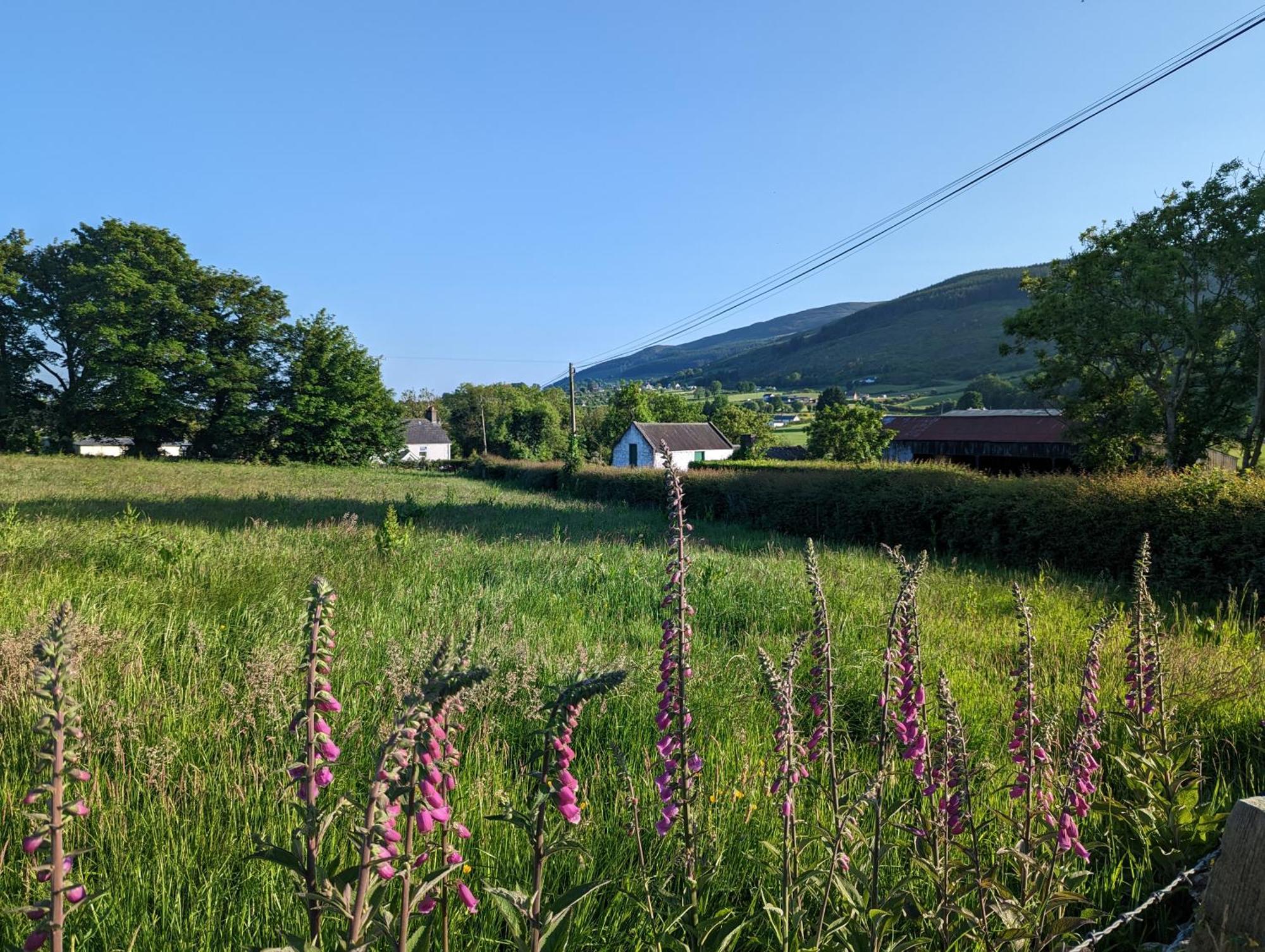 Killeavy Cottage Meigh Екстер'єр фото